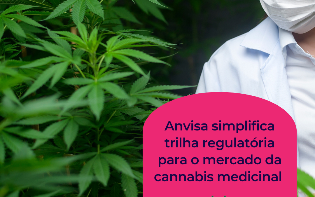 Anvisa simplifica trilha regulatória para o mercado da cannabis medicinal.